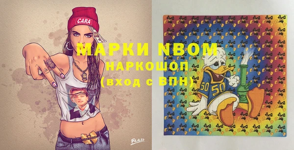 стаф Каменск-Шахтинский