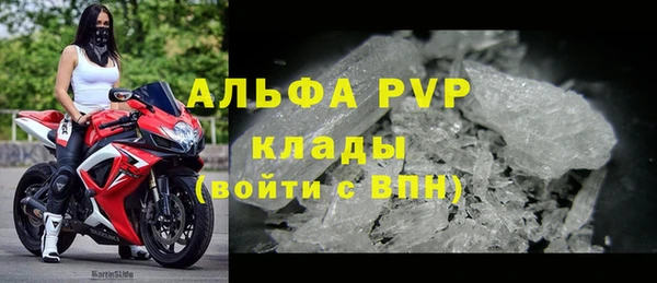 стаф Каменск-Шахтинский